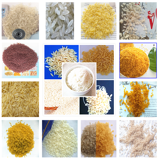 artificial rice making machine